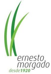 LOGO-ernesto_morgado-min